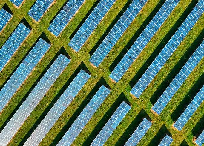 Illustration representing the transition to a low-carbon future