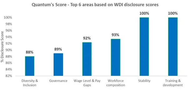 Chart showing strong workforce disclosure areas