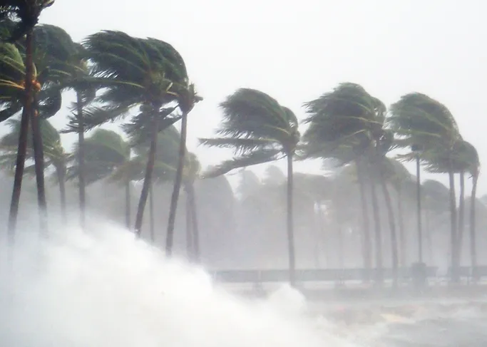  Climate Change Impact