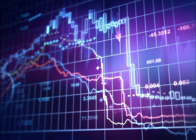 Assessing companies for financial risk, sustainability and resilience
