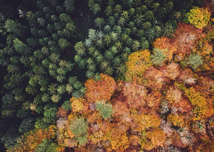  Ecology & Environmental Risk